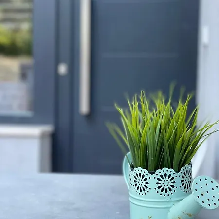 Forest Hill * بولا