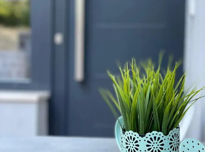 Forest Hill * 풀라