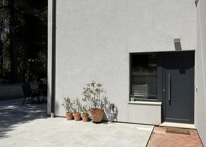 Forest Hill * 풀라