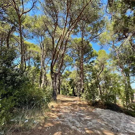 Forest Hill Pula